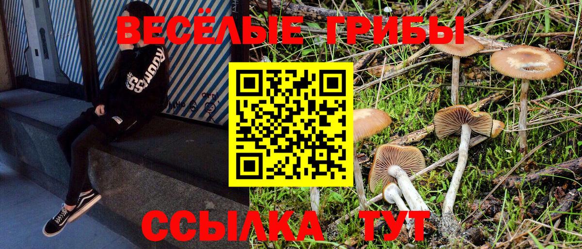 Псилоцибиновые грибы Cubensis  Вход с VPN  Псилоцибиновые грибы Psilocybine cubensis  Чистополь 