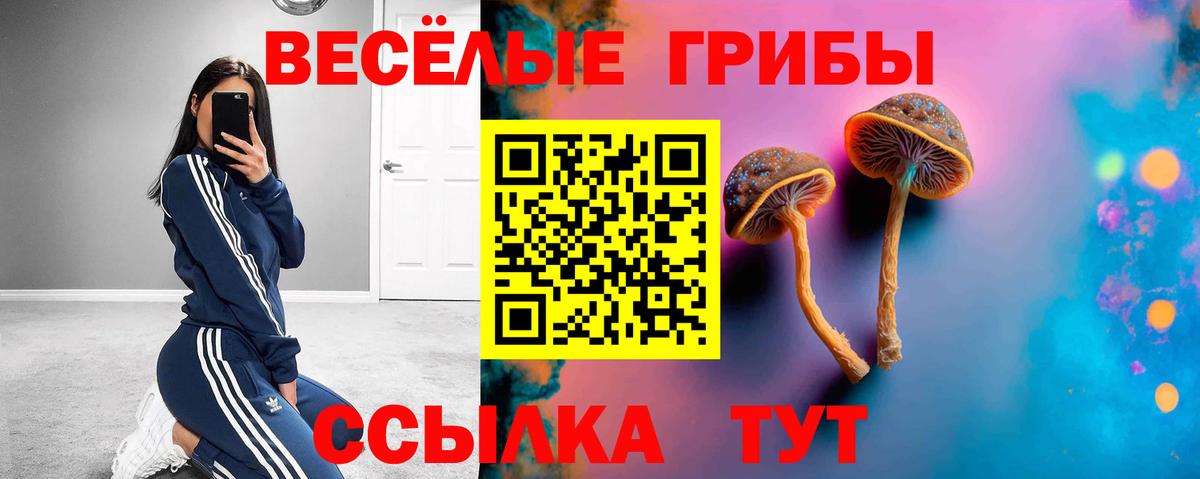 Галлюциногенные грибы Magic Shrooms Чистополь